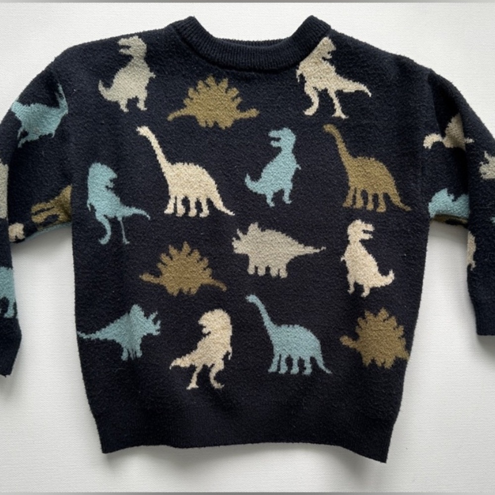 Kids Dinosaur Pattern Sweater - Multicolor
